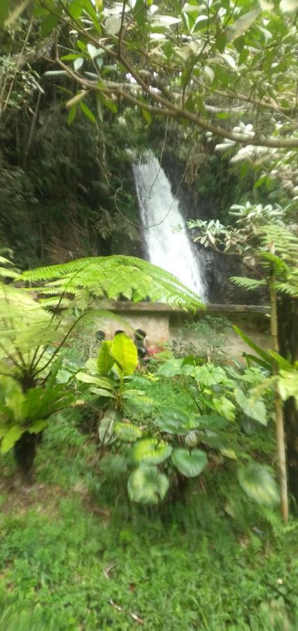 Hidayah Homestay Kelimutu Dış mekan fotoğraf