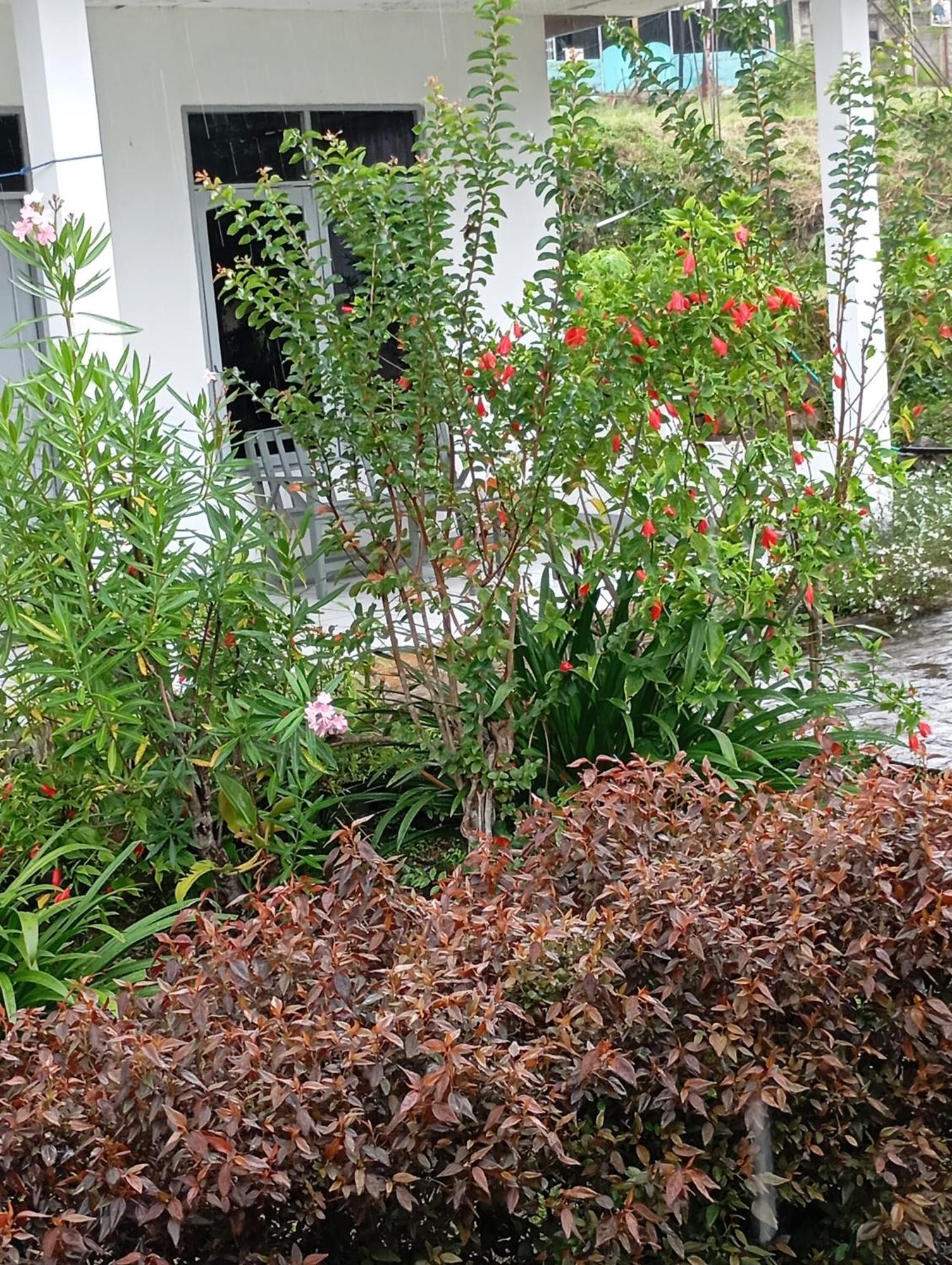 Hidayah Homestay Kelimutu Dış mekan fotoğraf